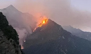 Son dakika: Osmaniye’de orman yangını! Alevler yüzlerce metre uzaklıktan görülüyor