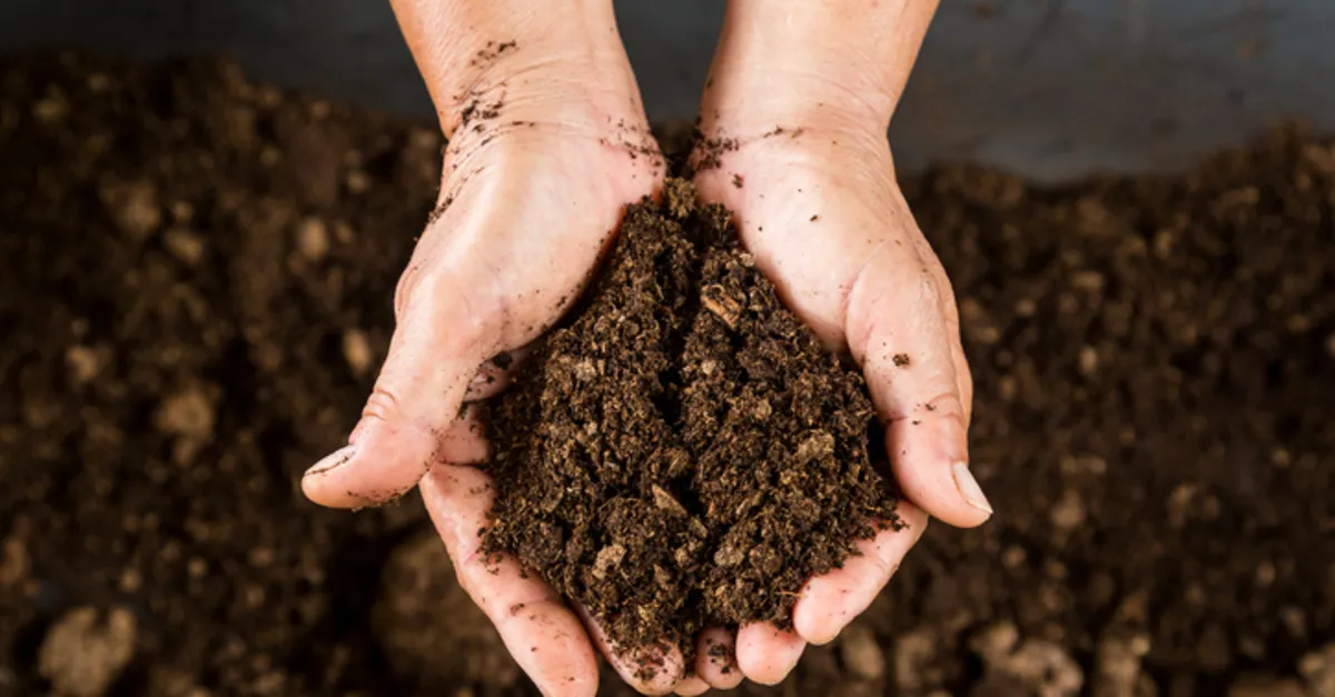 İntrazonal Topraklar Nelerdir? İntrazonal Toprak Çeşitleri Türkiye'de Nerelerde Görülür?