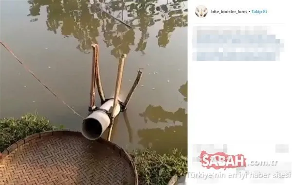 Öyle bir tuzak kurdu ki... İlginç balık avlama yöntemi!
