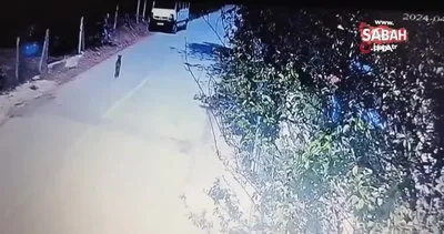 Şaşkına çeviren olay kamerada: Başıboş sokak köpeği, ziynet eşyası dolu çantayı alıp gitti | Video