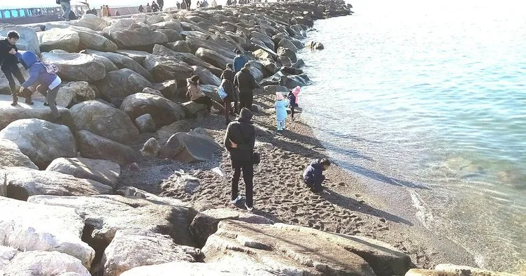 Balıkesir’deki deniz çekilmesi Marmara depremi habercisi mi? Uzman isim açıkladı