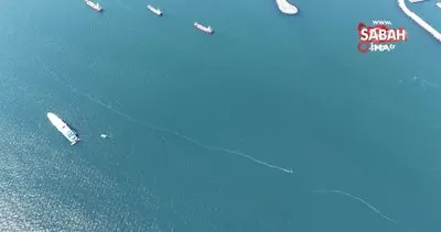 Marmara Denizi’nde denizanası istilası böyle görüntülendi | Video