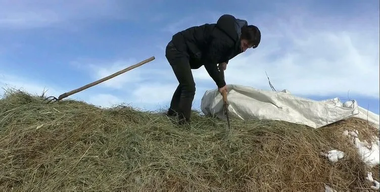 Köylülerden ilginç ot taşıma yöntemi