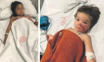 2 çocuğu yaralayan köpeğin sahibi tahliye edildi
