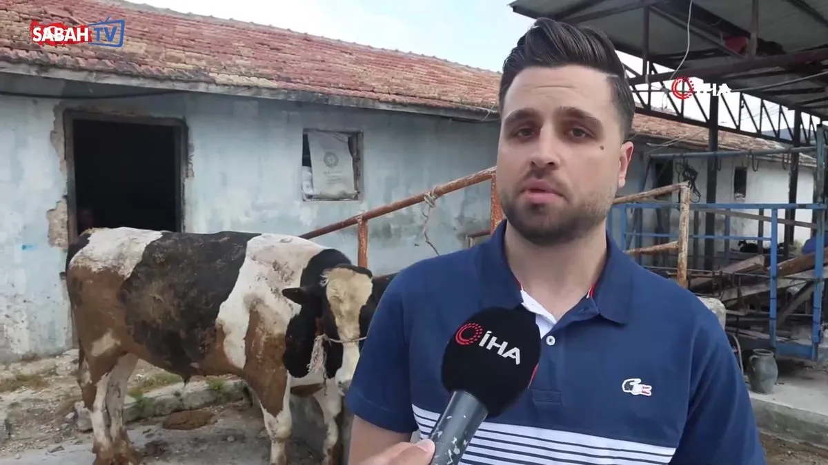 Sosyal medyadan kurbanlık almak isterken 200 bin TL dolandırıldı | Video