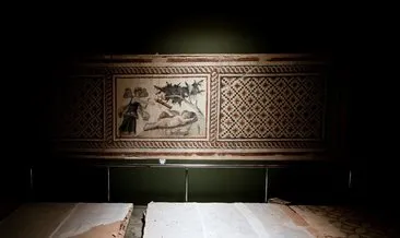 Hatay’daki mozaik müzesine deprem düzenlemesi