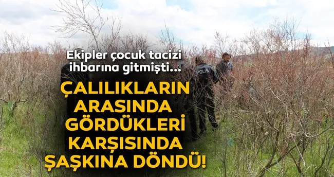 Taciz Ihbarina Gittiler 358 Kok Kenevir Buldular En Son Haber