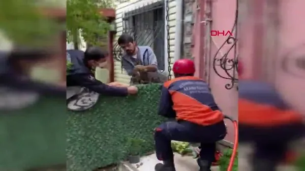 İstanbul Başakşehir'de demir korkuluklara saplanan kedinin kurtarılma anı kamerada