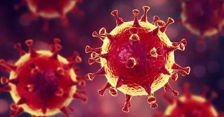 ABD’de yaşayan Türk doktordan kritik koronavirüs uyarısı