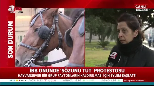 İBB önünde atlı fayton protestosu: Hayvanseverler çadırlarda sabahladı!
