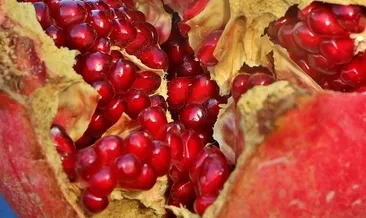 Narın faydaları nelerdir?