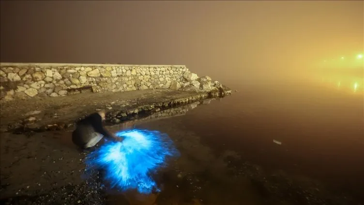Marmara Denizi’nde esrarengiz mavi görüntü: Gece canlı canlı izlediler!