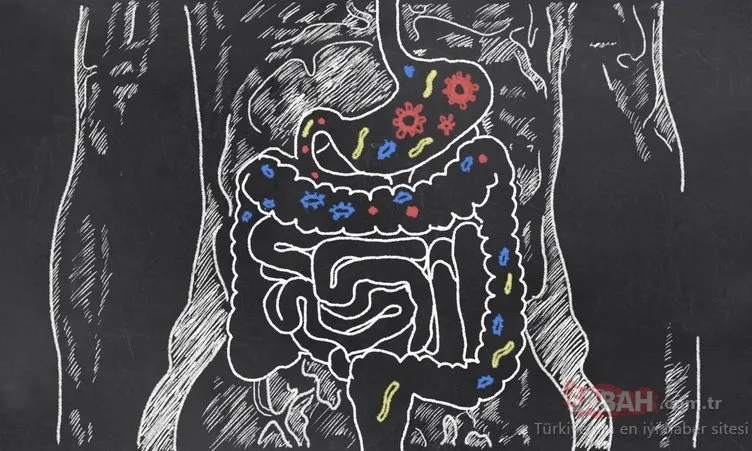 Bu diyet sayesinde mikrobiyotanızı düzenleyerek 5 günde 2 kilo verebilirsiniz