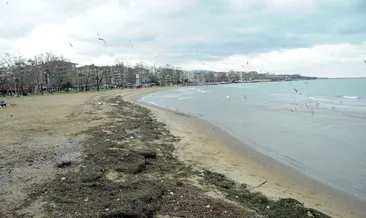 Yalova’da deniz çekildi