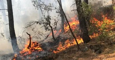 Son dakika: Antalya’da orman yangını!