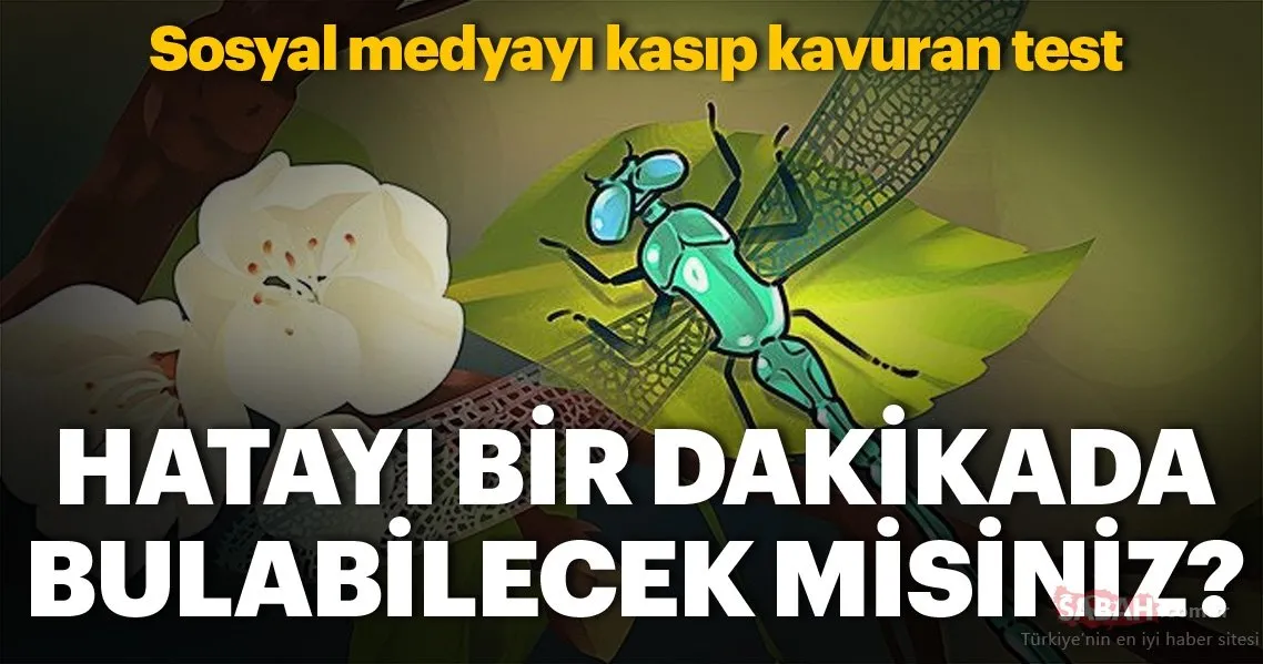 resimlerdeki hatalari bir dakikada