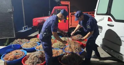 114 kalkan balığına el konuldu #zonguldak