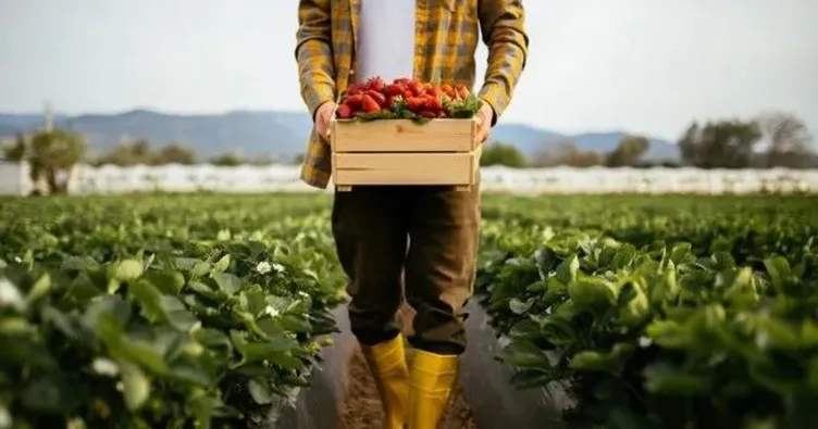 Tarımda aracı dönemi bitti