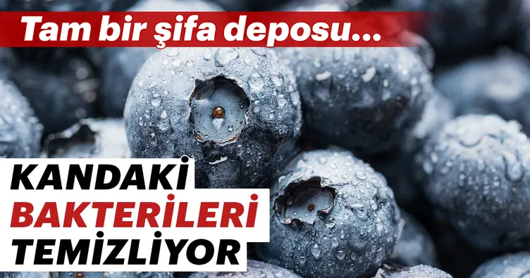 Yaban mersini nedir? Yaban mersini faydaları nelerdir? Yaban mersini neye iyi gelir?