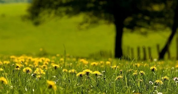 Cemre düştü mü, ne zaman düşecek, ilk cemre düştü mü? Cemre düşme tarihleri 2022!