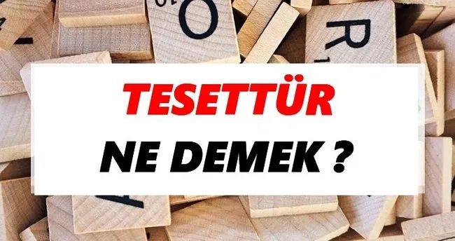Tesettür Ne Demek? TDK’ya Göre Tesettür Sözlük Anlamı Nedir?