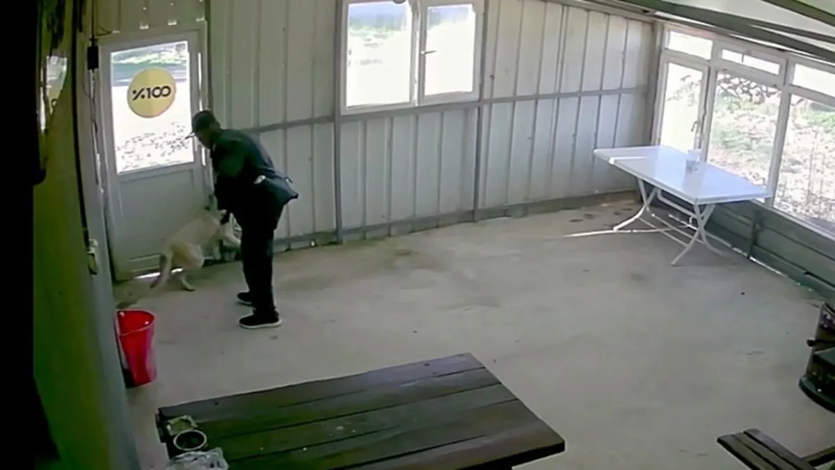 Kahvehanede bakılan köpeği bastonla darp etti: O anlar kamerada!