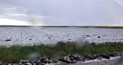 Tekirdağ’da dolu etkili oldu: Tarım arazileri beyaza büründü #tekirdag