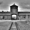 Yahudileri Auschwitz kampına götürmeye başladılar