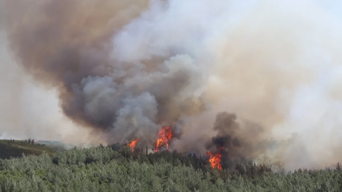 İzmir’de orman yangını: Bazı uçuşlar iptal edildi! İzmir’de orman yangını: Bazı uçuşlar iptal edildi!
