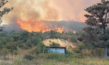 Artan sıcaklar ormanlar için hâlâ tehdit #balikesir