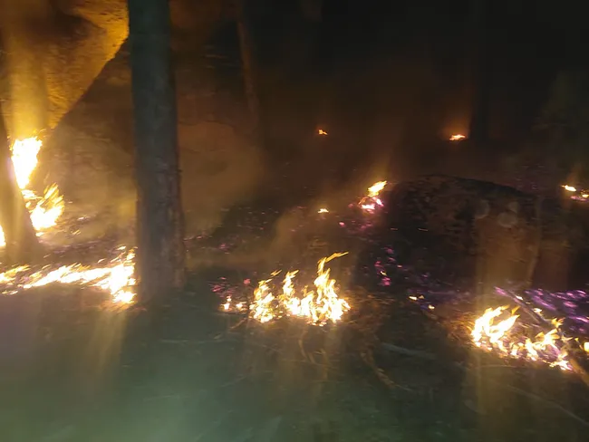 Ekipler Yangına Müdahale Ediyor