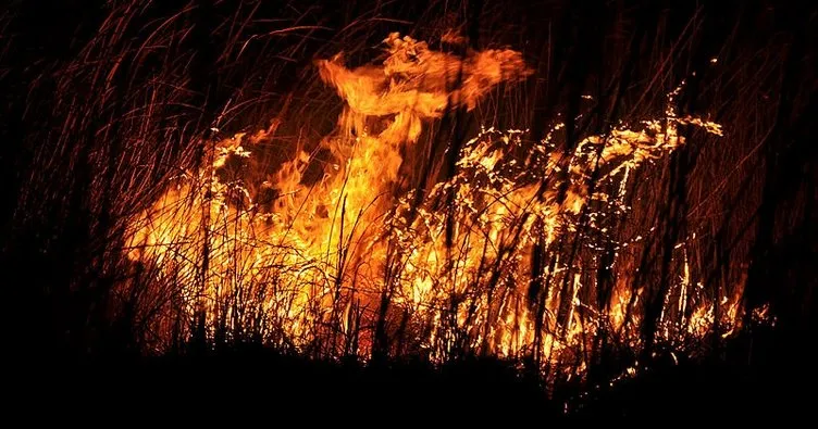 Mersin’deki Göksu Deltası’nda korkutan yangın