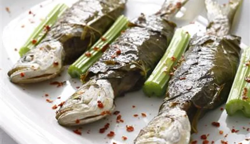 Asma Yaprağına Sarılı Çinekop