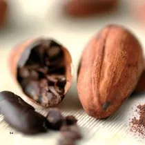 Tozun Büyülü Hali: Kakao