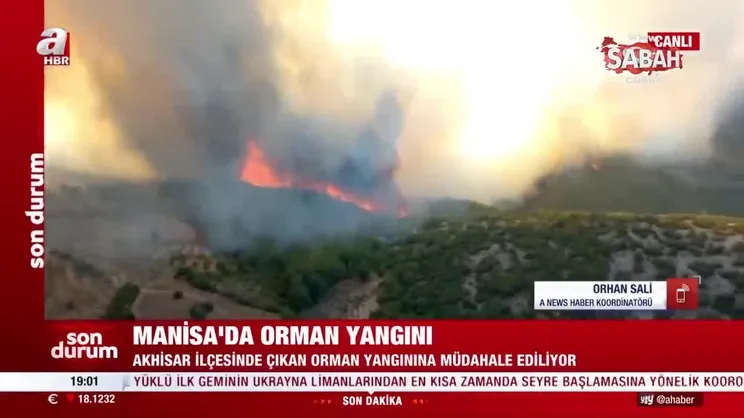 Son dakika: Manisa’da orman yangını! | Video