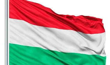 Macar yetkili: ’’Operasyon terör örgütünü hedef alıyor’’