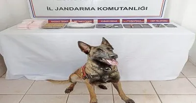 Zonguldak’ta Jandarmadan 2 ayrı operasyon: 1 tutuklu