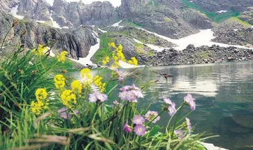 Cilo ile Sat dağları milli park oldu