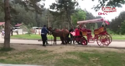 Bolu Abant’ta fayton çeken atlara yapılan eziyet kamerada