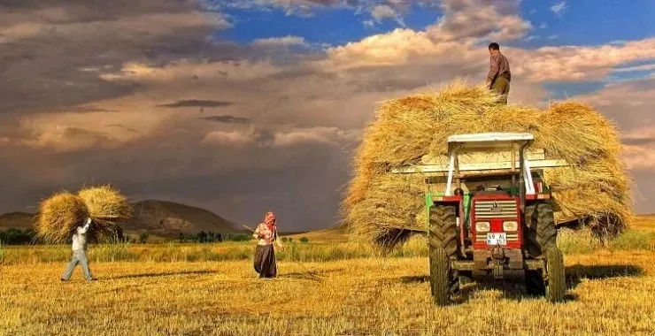 DÜNYA ÇİFTÇİLER GÜNÜ: 14 Mayıs Dünya Çiftçiler Günü nedir, ne zaman ve nasıl ortaya çıktı?