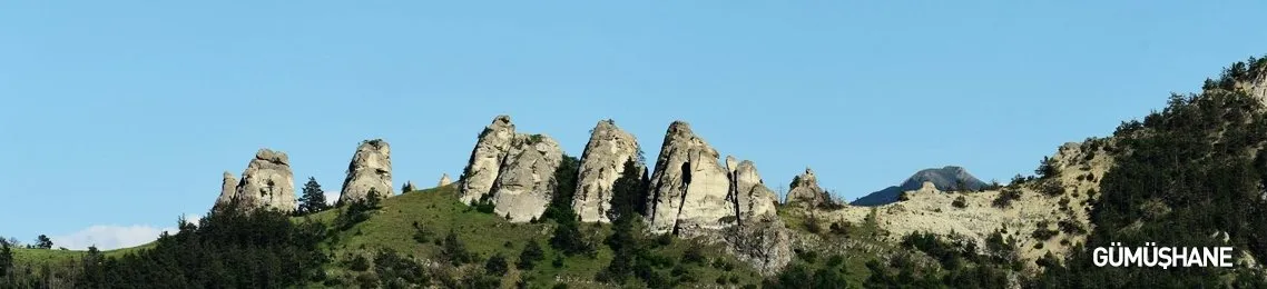 Gumushane Haber Son Dakika Gumushane Haberleri Guncel Haberler