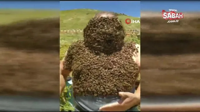Karslı arıcıdan şaşırtan görüntüler: Vücudunu saran binlerce arıyla röportaj verdi! | Video