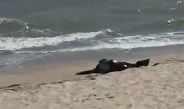 Karaburun Sahilde ceset bulundu