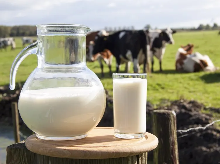 Süt içmemiz için 8 önemli neden!
