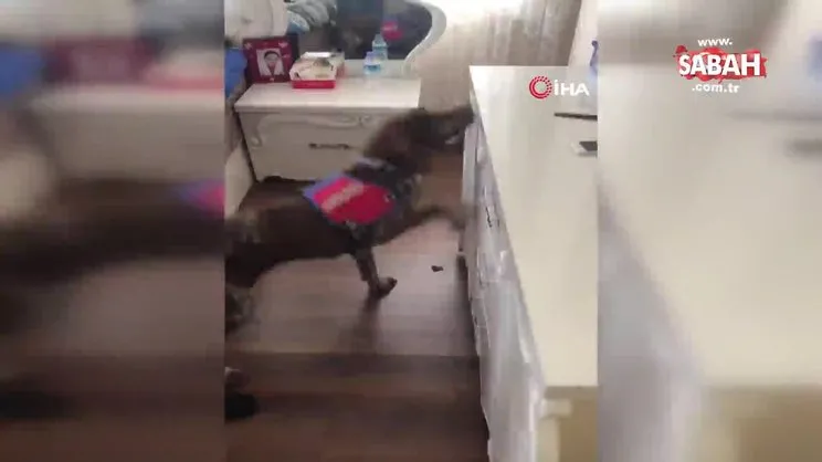 İzmir'de jandarmadan uyuşturucu operasyonu: 3 tutuklama | Video