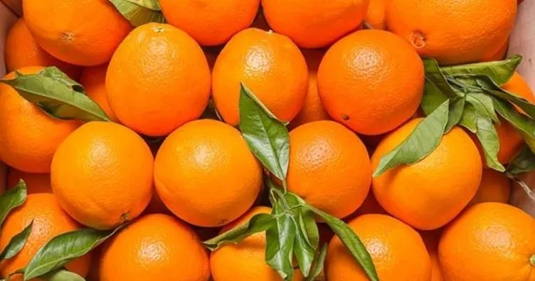 Portakalın faydaları nelerdir, kalorisi ve besin değeri nedir? Portakal kabuğunun mucizevi faydaları