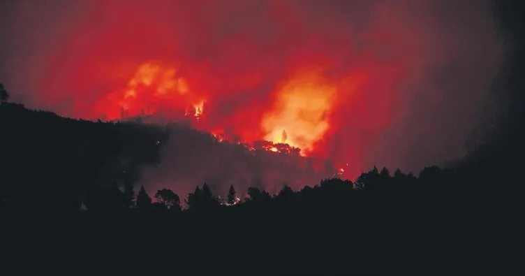 Kaliforniya’da yangına 25 kurban