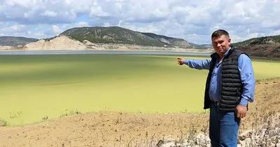 Baraj göleti üzerinde oluşan yeşil tabaka tedirgin etti