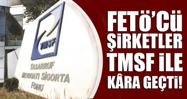 FETÖ’cü şirketler TMSF ile kâra geçti!