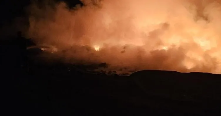 Hatay’daki orman yangını söndürüldü